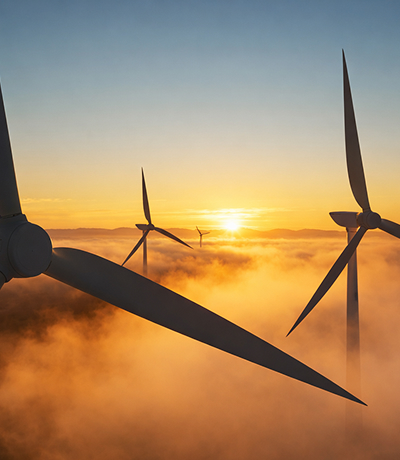 세고스의 지속가능한
ESG 경영